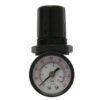 Gauge Regulator