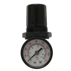 Gauge Regulator