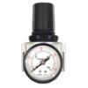 Gauge Regulator