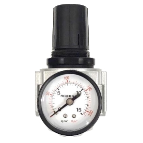 Gauge Regulator