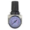 Gauge Regulator