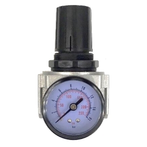 Gauge Regulator