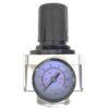 Gauge Regulator